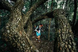 BIB: 
                            <button type="button" onclick="openModal(25392732)" class="btn btn-primary btn-sm float-right btn-popup" data-toggle="modal" data-target=".modal-high-quality">
                        <i class="fas fa-shopping-cart"></i> Add to Cart
                    </button>
                                            <button type="button" onclick="isThisMe(25392732, true)" class="btn btn-success btn-sm float-right btn-popup btn-isme hidden" data-toggle="tooltip" data-placement="bottom" title="นี่คือรูปของคุณใช่ไหม คลิกที่นี่เพื่อเอาเข้าอัลบั้ม">
                        <i class="fas fa-plus"></i> Add to album
                    </button>
                    <button type="button" onclick="isThisMe(25392732, false)" class="btn btn-warning btn-sm float-right btn-popup btn-isnotme hidden">
                        <i class="fas fa-ban"></i> Remove from album
                    </button>